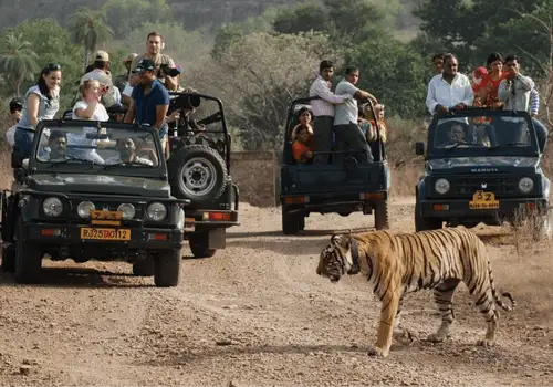 11-15 Days Rajasthan
Tours